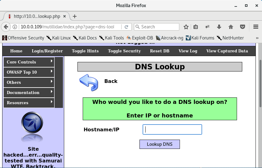 Mutillidae DNS Lookup page with a hostname/IP input field