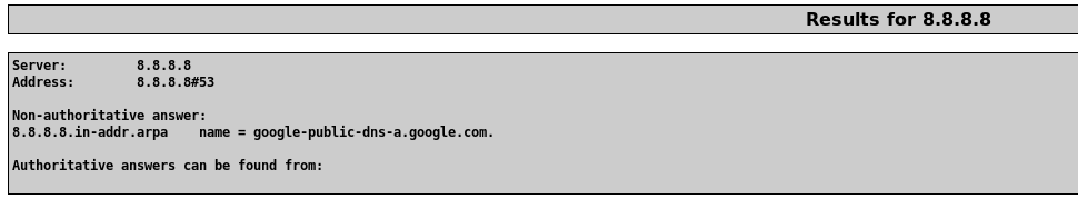 DNS Lookup results for 8.8.8.8 resolving to google-public-dns-a.google.com