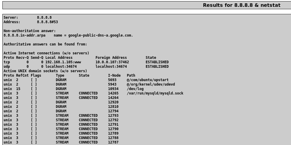 DNS Lookup output for '8.8.8.8 & netstat' showing the resolution plus active connections