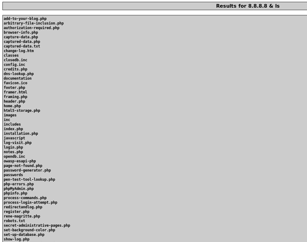 Reverse Shell via Command Injection