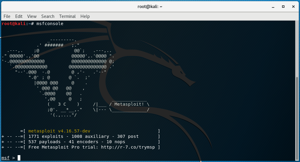 Reverse Shell via Command Injection